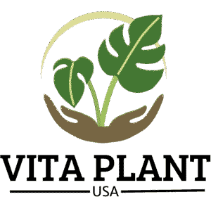 Logo Vita Plant Usa